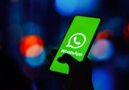 WhatsApp imagens vídeos qualidade partilha