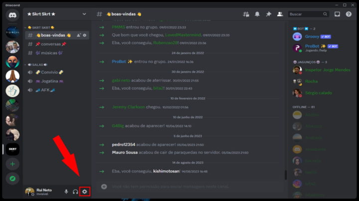 Vous voulez programmer des robots pour Discord Decouvrez comment