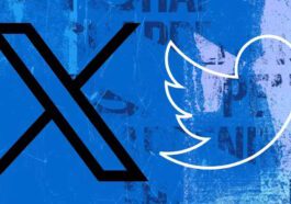 Twitter X Elon Musk rede social dados