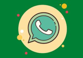 WhatsApp imagens vídeos partilha HD