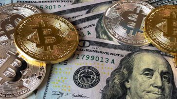 9 tipos de Investimentos que vale a pena conhecer