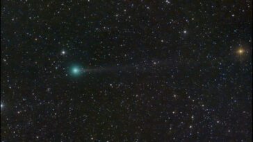 Cometa Nishimura poderá ser observado esta noite