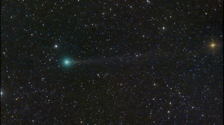 Cometa Nishimura poderá ser observado esta noite