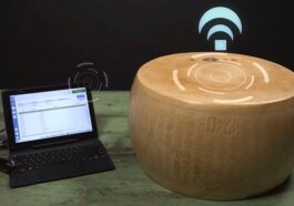 Les fabricants de parmesan ajoutent des chips au fromage pour éviter les contrefaçons