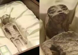 Imagem de cadávers de supostos alienígenas mostrados no México
