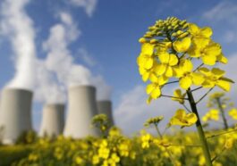 La Commission européenne est « prête à envisager » des subventions à la technologie nucléaire 10 Energia nuclear