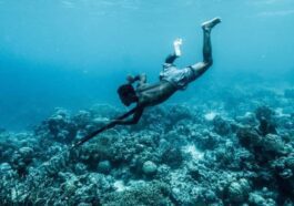 Connaissez-vous les Bajau ? Ce sont les premiers humains génétiquement prêts à vivre dans l’eau 1 Povo Bajau