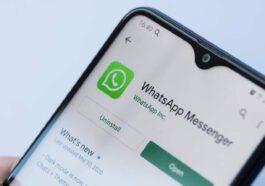 WhatsApp Android versão smartphones