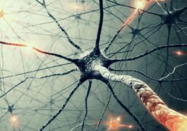 Selon le MIT, les réseaux de neurones liquides propulseront l'intelligence artificielle à un autre niveau