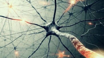 Selon le MIT, les réseaux de neurones liquides propulseront l'intelligence artificielle à un autre niveau