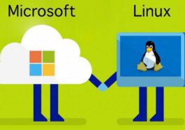 Linux Windows Microsoft guia