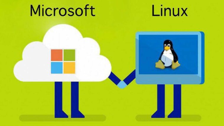 Linux Windows Microsoft guia