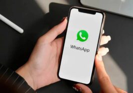 WhatsApp Android smartphone suporte