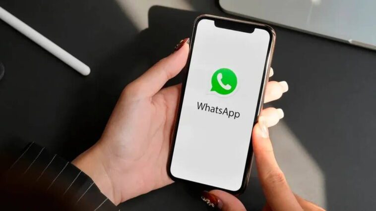 WhatsApp Android smartphone suporte