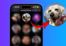 iOS 17 : La reconnaissance des animaux ne fonctionne pas sur iPhone ?  Corrigeons