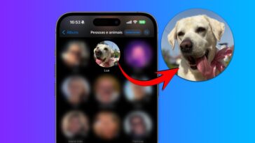 iOS 17 : La reconnaissance des animaux ne fonctionne pas sur iPhone ?  Corrigeons