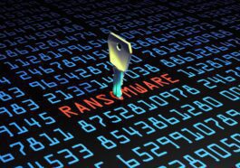 Les opérations de ransomware ont rapporté plus d'un milliard de dollars en 2023 74 Ransomware operations made more than $1 billion in 2023