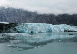 Au bord du gouffre : le courant de l’océan Atlantique est sur le point de s’effondrer 45 On the brink: Atlantic Ocean current is getting closer to collapse