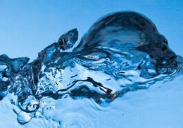Ne mettez pas un iPhone mouillé dans du riz, déclare un nouveau document d'assistance Apple