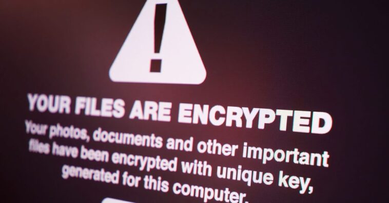 Security Bite : les paiements de ransomware ont atteint un record de 1,1 milliard de dollars en 2023 malgré la baisse de l'année précédente