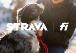 Strava s'associe à Fi Smart Collar pour le suivi de la activité des chiots