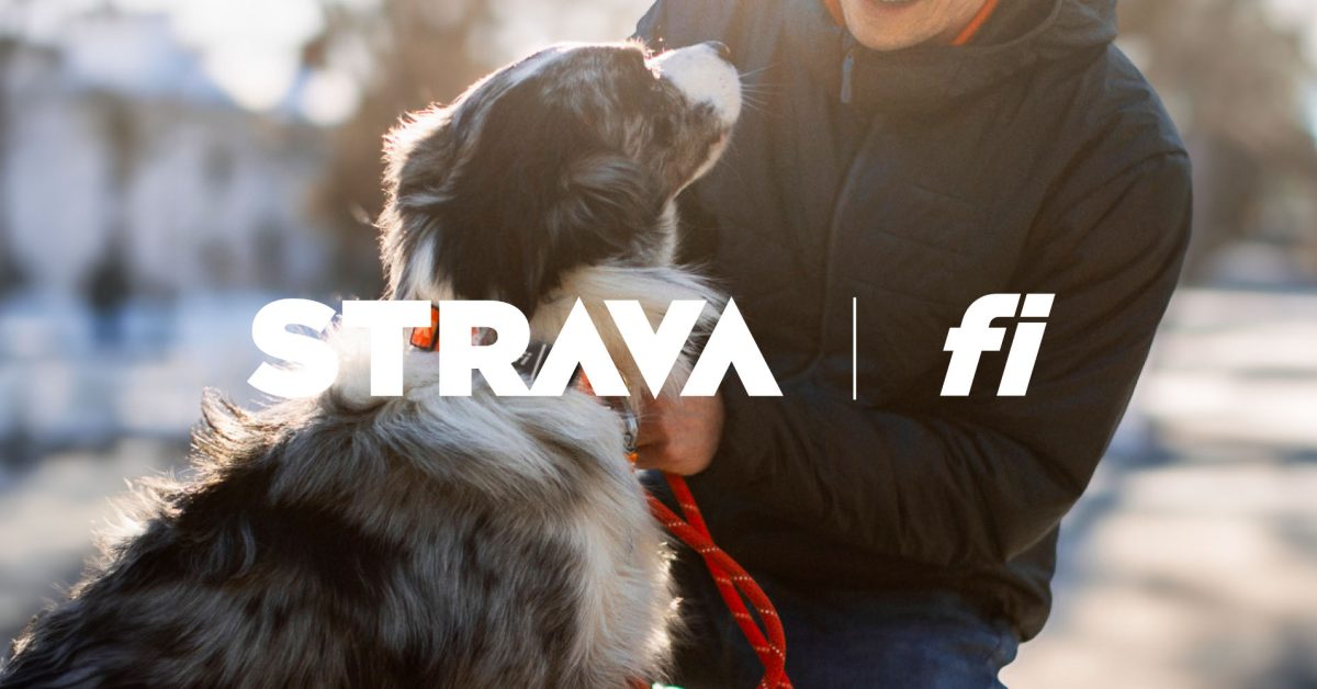 Strava s'associe à Fi Smart Collar pour le suivi de la activité des chiots