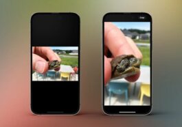 Voici comment utiliser le recadrage rapide sur l'application iPhone Photos dans iOS 17