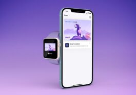 Voici plus de 20 États explorant la prise en charge de la fonctionnalité d'identification numérique d'Apple dans Wallet 61 Voici plus de 20 États explorant la prise en charge de la fonctionnalité d'identification numérique d'Apple dans Wallet