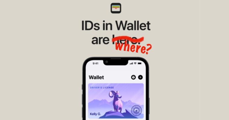Voici où vous pouvez utiliser votre iPhone comme permis de conduire ou pièce d'identité numérique jusqu'à présent 1 Voici où vous pouvez utiliser votre iPhone comme permis de conduire ou pièce d'identité numérique jusqu'à présent