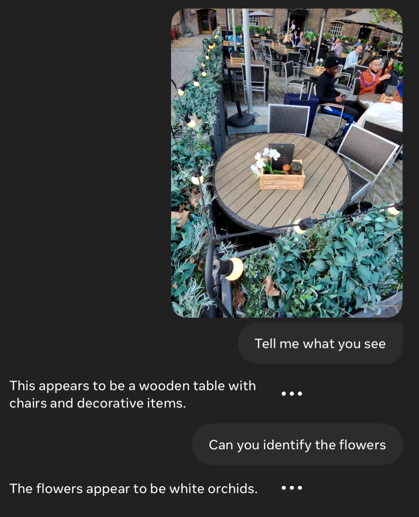 Ce qui manque aux lunettes Meta, c'est ce qui m'excite le plus à propos des lunettes Apple. 3 1715701208 243 Ce qui manque aux lunettes Meta cest ce qui