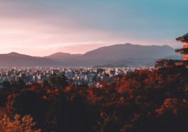 Apple pourrait bientôt devoir autoriser également les magasins d'applications tiers au Japon