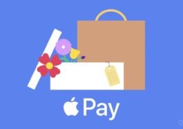 La promotion Apple Pay offre jusqu'à 20 % de réduction sur de superbes cadeaux pour la fête des mères 55 La promotion Apple Pay offre jusqu'à 20 % de réduction sur de superbes cadeaux pour la fête des mères