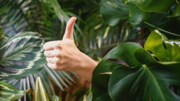 X Likes seront rendus privés, mais le nombre de Likes sera toujours affiché