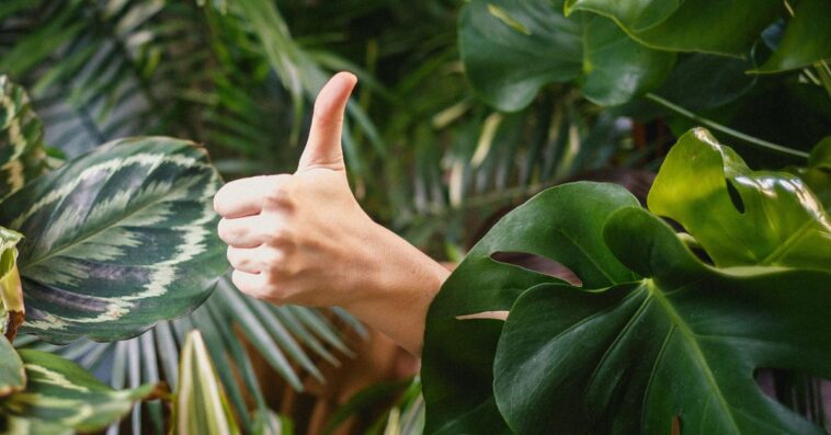 X Likes seront rendus privés, mais le nombre de Likes sera toujours affiché 1 X Likes seront rendus privés, mais le nombre de Likes sera toujours affiché