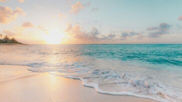 Partir en vacances?  Ce sont les meilleurs essentiels de voyage pour les appareils Apple