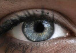 L’Europe et l’Australie reculent toutes deux sur l’analyse CSAM qui briserait le cryptage 69 L’Europe et l’Australie reculent toutes deux sur l’analyse CSAM qui briserait le cryptage