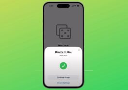 La nouvelle configuration des accessoires dans iOS 18 est bonne pour nous et pour Apple 96 La nouvelle configuration des accessoires dans iOS 18 est bonne pour nous et pour Apple