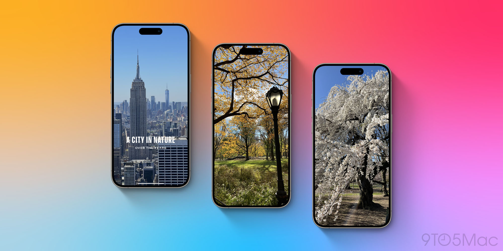 Photos avec Apple Intelligence dans iOS 18.1