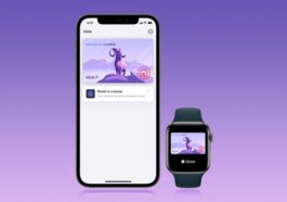La Floride met fin brutalement au support des permis de conduire numériques sur iPhone et Android