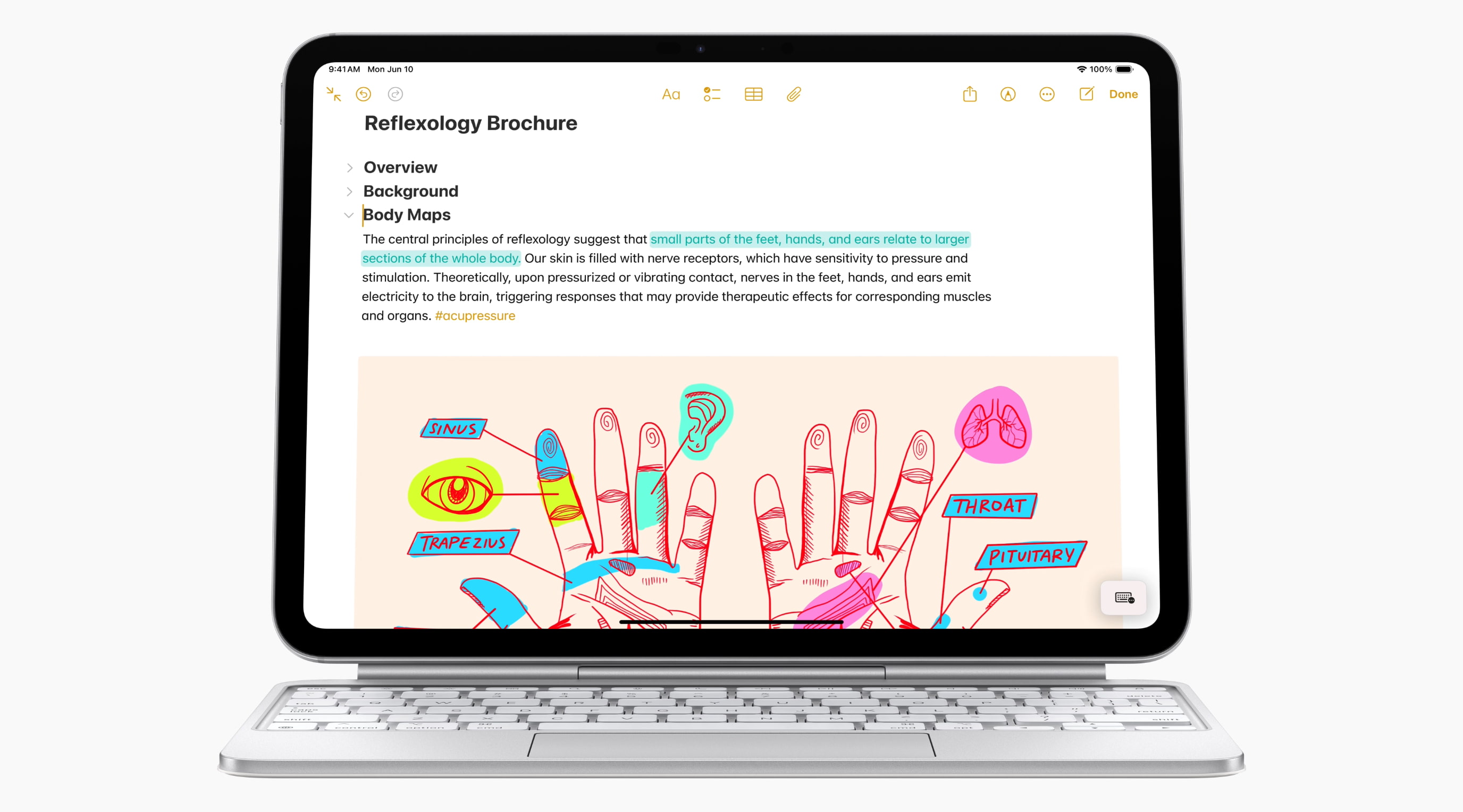 Les points forts de l'application Notes d'iPadOS 18 également
