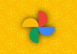 Google Photos déploie la refonte de « Collections » pour remplacer l'onglet « Bibliothèque »
