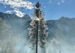 Apple soutient les parcs nationaux américains avec des dons Apple Pay et les prochaines mises à jour d'Apple Maps