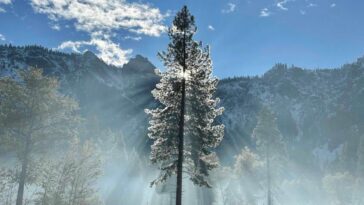 Apple soutient les parcs nationaux américains avec des dons Apple Pay et les prochaines mises à jour d'Apple Maps