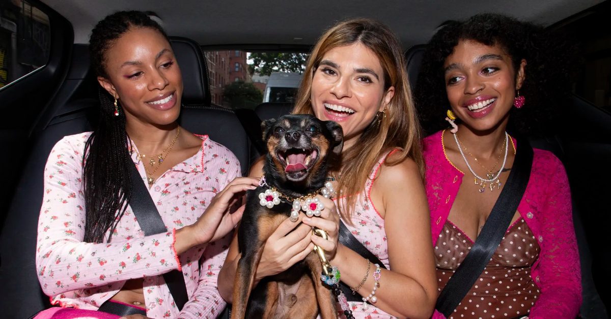 Lyft Pet Rides empêchera la répétition du drame de Tux le chat disparu 55 Lyft Pet Rides empêchera la répétition du drame de Tux le chat disparu