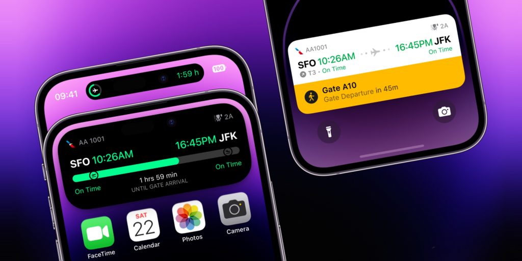 Dynamic Island Flighty