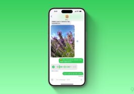 iOS 18.1 to enable RCS for iPhone users in China