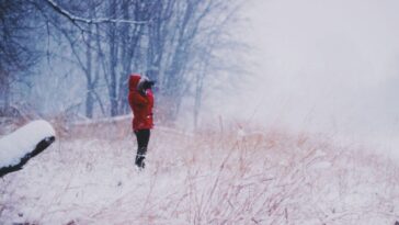 British iPhone users sent alerts of ‘severe high temperatures’ of 39F