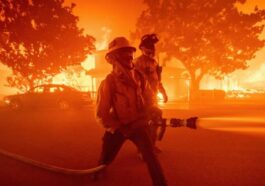 Tim Cook says Los Angeles wildfires are heartbreaking, Apple is donating