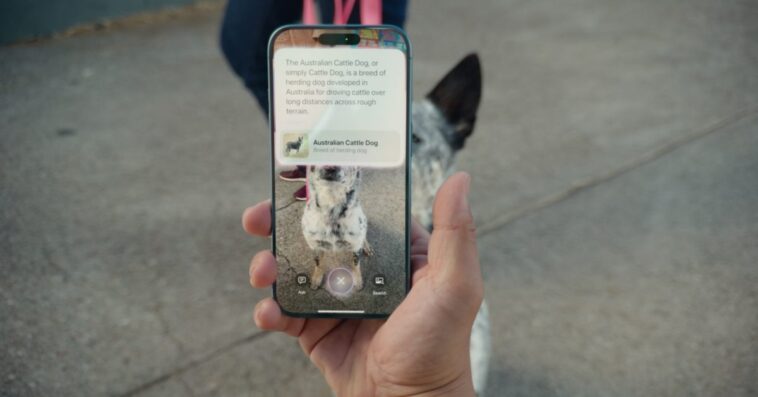 Nouvelle fonctionnalité d'intelligence visuelle sur l'iPhone 15 Pro avec une mise à jour iOS 1 Visual Intelligence feature coming to iPhone 15 Pro with a future iOS update