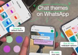 WhatsApp déploie des thèmes de chat pour tous les utilisateurs 50 WhatsApp begins rolling out chat themes to everyone